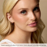 14K Rose Gold 1/3 CTW Natural Diamond Hinged 15 mm Hoop Earrings