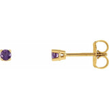 14K Yellow Gold 2.5 mm Natural Amethyst Earrings